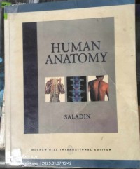 Human Anatomy