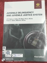 Image of Juvenile Delinquency and Juvenile Justice System